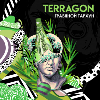 Табак Insite - Terragon (Тархун и Лайм) 25 гр