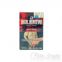 Табак Mr.Brew - Barry Berry (Барбарис) 40 гр