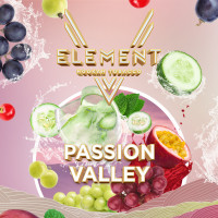 Табак Пятый Element - Passion Valley (Огуречный лимонад, Маракуйя, Смородина, Виноград) 25 гр
